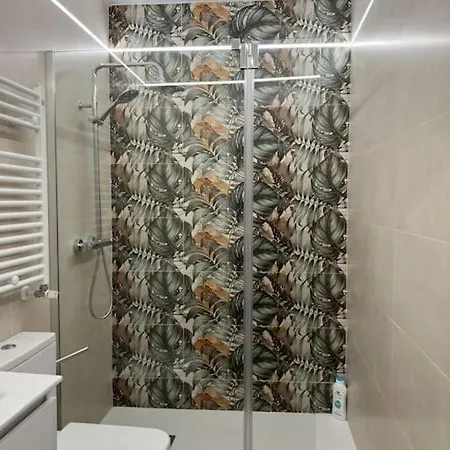 Vivienda Centrica Junto Al Museo Burgo