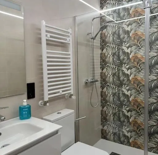 Vivienda Centrica Junto Al Museo *